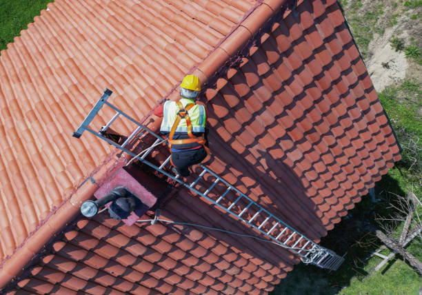 Best Roof Moss and Algae Removal  in Wills Point, TX